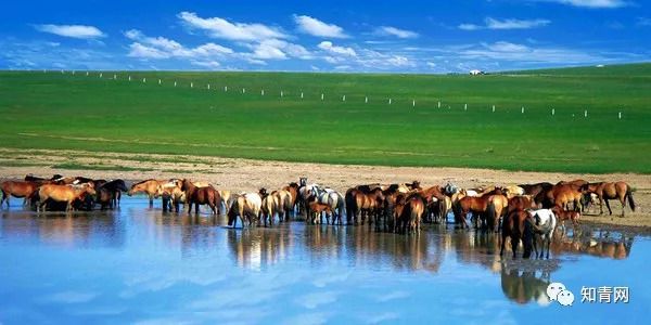 内蒙古草原豪胜对手,晋级16强 内蒙古草原豪胜对手,晋级16强